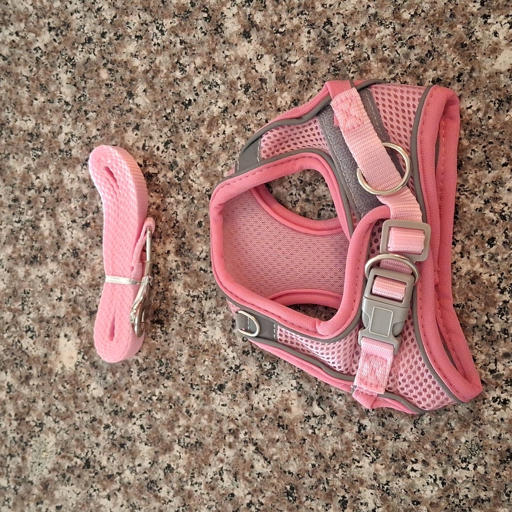 Dog Leash